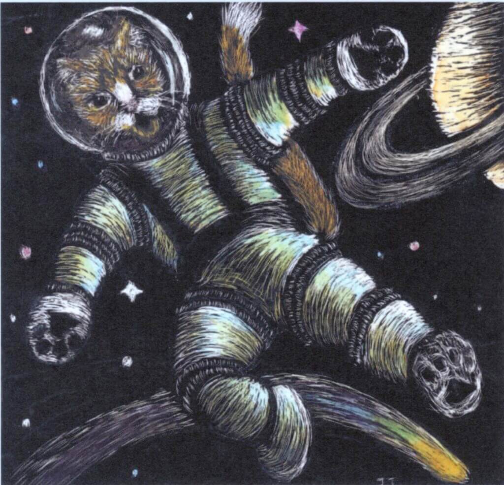 Cat in Space