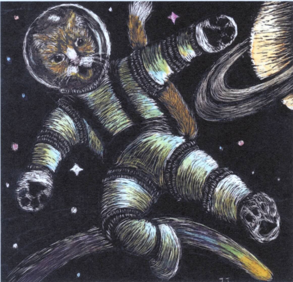 cat in space