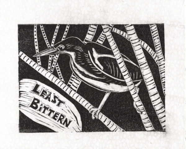 Least Bittern linocut (Endangered Species Flags) Least Bittern linocut (Endangered Species Flags)