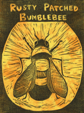 bumblebee card