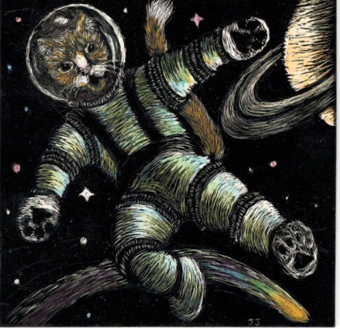 cat in space