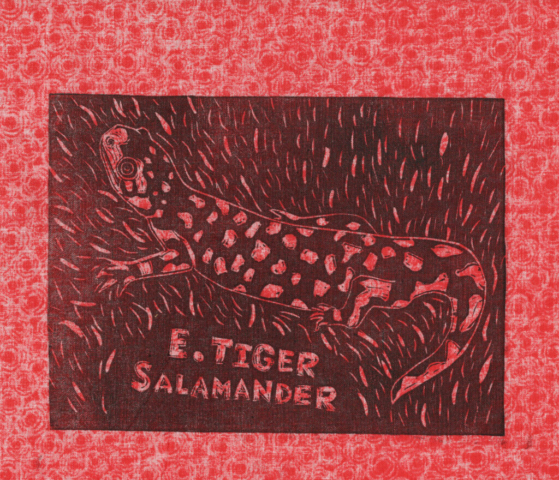 E. Tiger Salamander linocut (Endangered Species Flags) E. Tiger Salamander linocut (Endangered Species Flags)