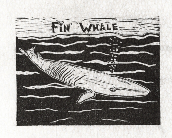 Fin Whale linocut (Endangered Species Flags) Fin Whale linocut (Endangered Species Flags)
