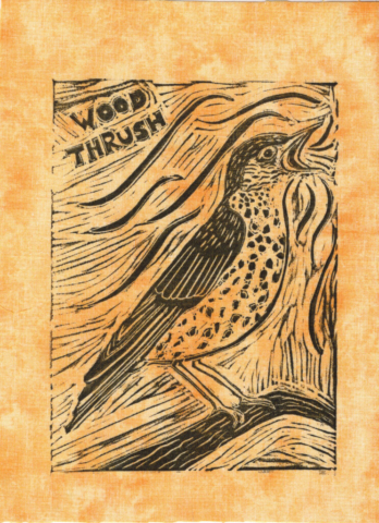 Word Thrush linocut (Endangered Species Flags) Word Thrush linocut (Endangered Species Flags)