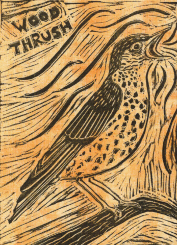 wood thrush card